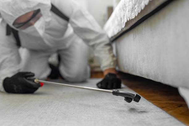 Professional Pest Control technician working in Darien, IL