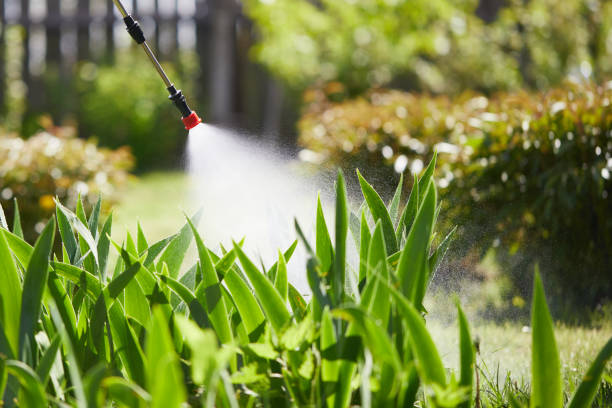 24/7 Emergency Rodent Control experts in Darien, IL