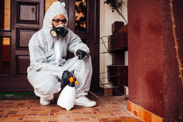 Reliable Rodent Control contractor in Darien, IL by Nex Pest Control