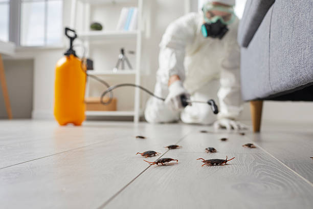 Trusted Fumigation Services service in Darien, IL - Nex Pest Control
