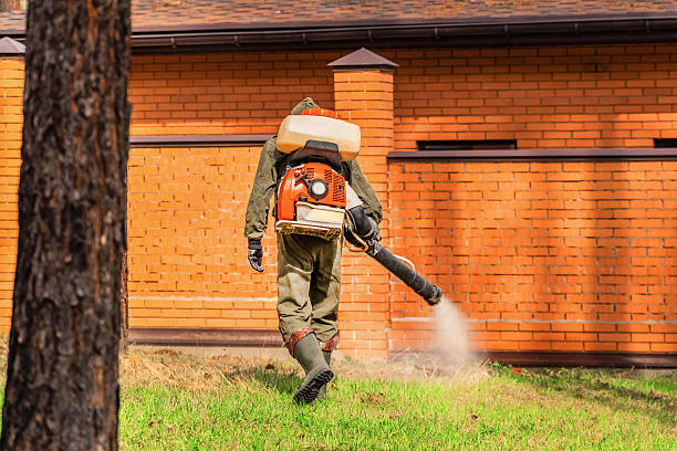 Trusted Cockroach Control service in Darien, IL - Nex Pest Control